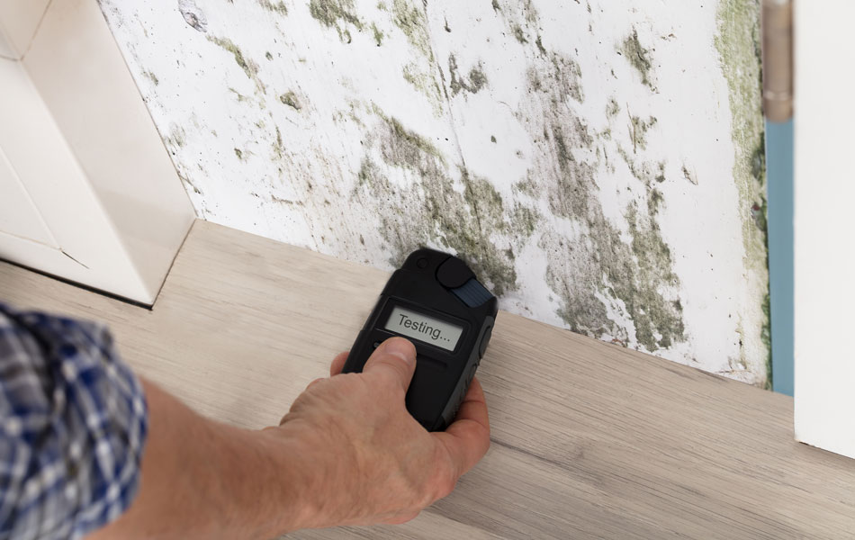 toolimg2 Moisture Meter Inspection
