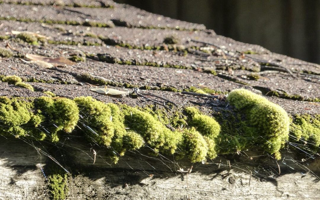 4 Signs it’s Time for a Roof Replacement